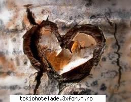 VATI CULCA CU TOM??? - LoVe Is In ThE AiR - ♥ Tom Kaulitz ♥